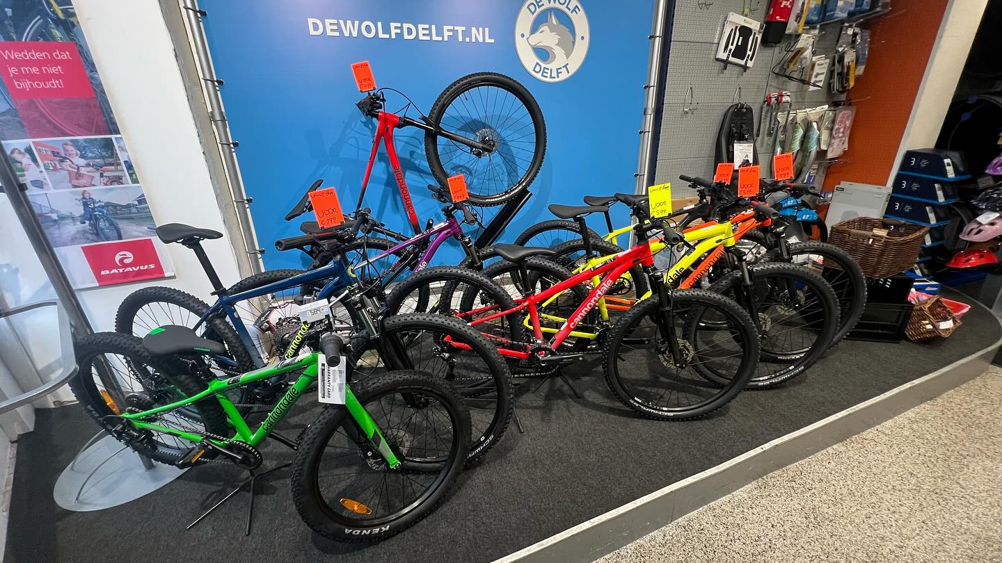 EINDEJAARS AANBIEDINGEN EN OPRUIMING